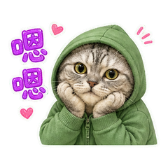 表情 9
