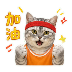 表情 5