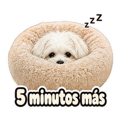 Sticker 5