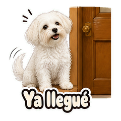 Sticker 6