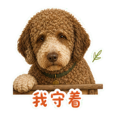 表情 9