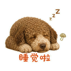 表情 12