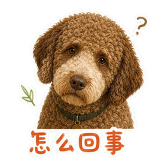 表情 6