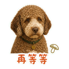 表情 5