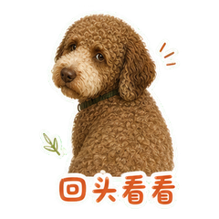 表情 11