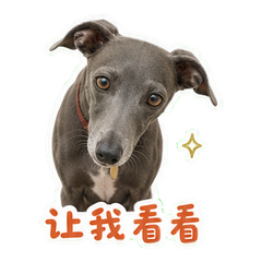 表情 7