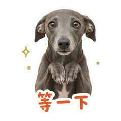 蓝灰灵缇在活版室 sticker 4