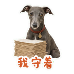 表情 8