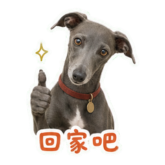 表情 11