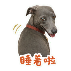 表情 12