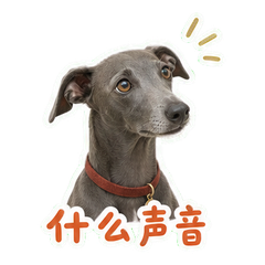 表情 5