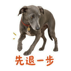 表情 6