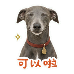 表情 10