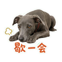 表情 9