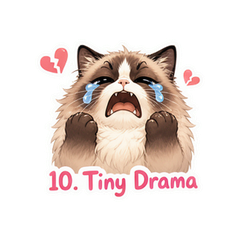 表情 10