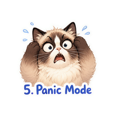 表情 5
