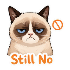 Grumpy Cat Reactions #3