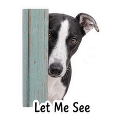 Sticker 10