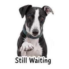 Sticker 8