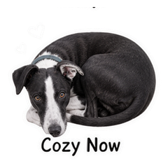 Sticker 6