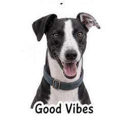 Sticker 9