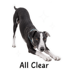 Sticker 11