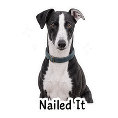 Marlow the Seaside Whippet sticker 4