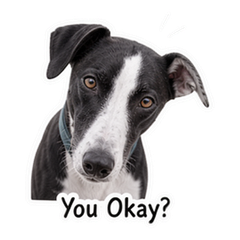 Sticker 7