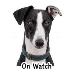 Marlow the Seaside Whippet sticker 1