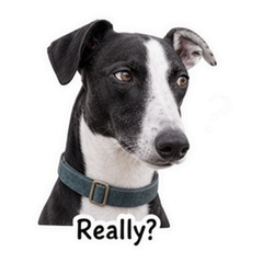 Marlow the Seaside Whippet sticker 3
