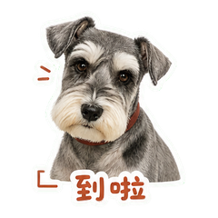 表情 1