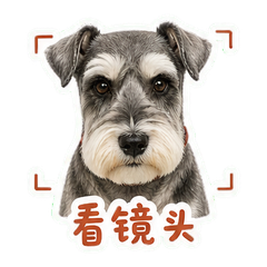 表情 5