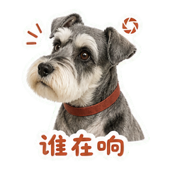表情 4