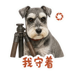 表情 10