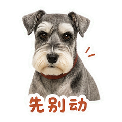 表情 6