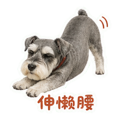 表情 11