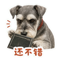 表情 8