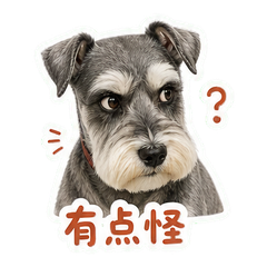 表情 7