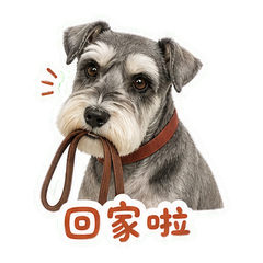 表情 12