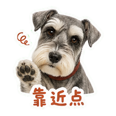 表情 9