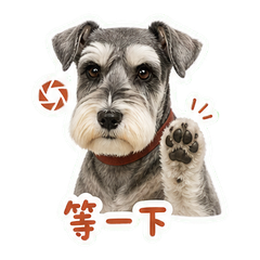表情 3