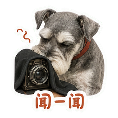 表情 2