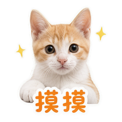 宠物日常 貼圖 2