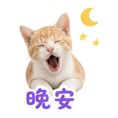 貼圖 12