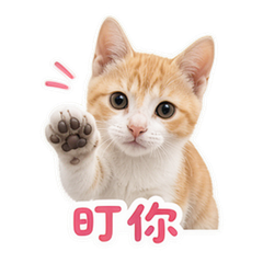 貼圖 9