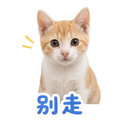 貼圖 10
