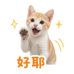 貼圖 7