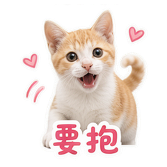 貼圖 5
