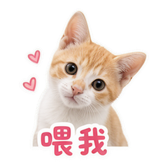 宠物日常 貼圖 1
