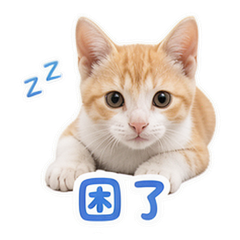 宠物日常 貼圖 4
